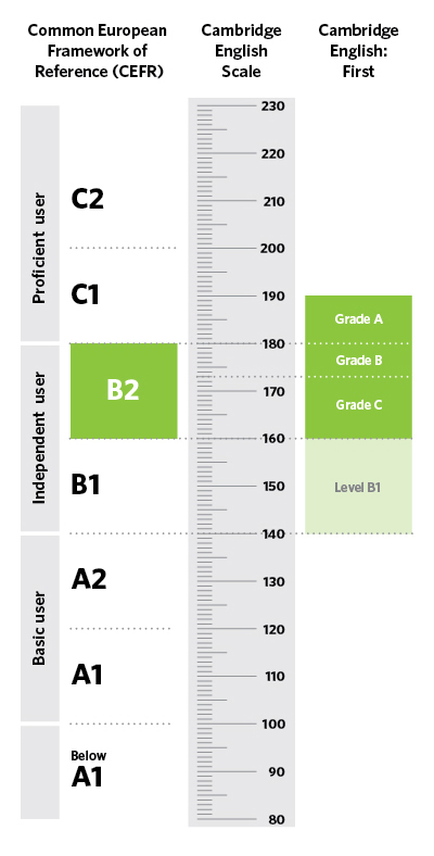Infografía con los diferentes niveles de los exámenes Cambridge