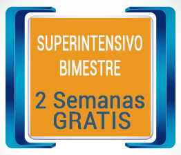intensivos ingles verano adultos