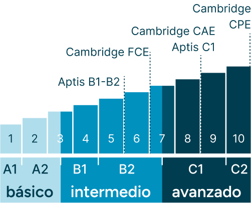 Infografía niveles inglés A1-C2: Aptis (B1-B2) y Cambridge (A2-C2) - Seif English Academy, Madrid
